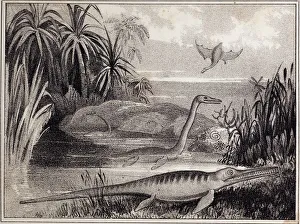 1837 Extinct prehistoric animals Dorset 1837 Extinct prehistoric animals Dorset