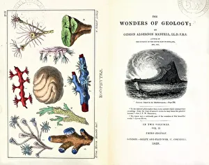 1838 Frontis Mantell Wonders of Geology 1838 Frontis Mantell Wonders of Geology 1838 Frontis Mantell Wonders of Geology 1838 Frontis Mantell Wonders of Geology