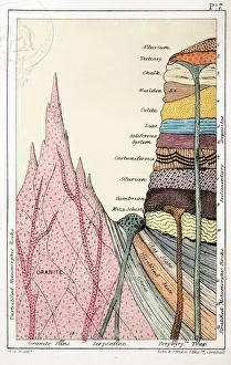 1838 Mantells Geological Strata Section 1838 Mantells Geological Strata Section