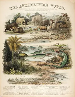 1849 The antidiluvian world by reynolds 1849 The antidiluvian world by reynolds