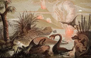 1857 Zimmermans The Primitive World 1857 Zimmermans The Primitive World 1857 Zimmermans The Primitive World 1857 Zimmermans The Primitive World
