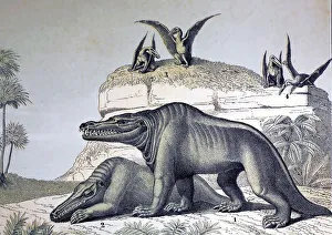 1862 Megalosaurus reconstruction 1862 Megalosaurus reconstruction