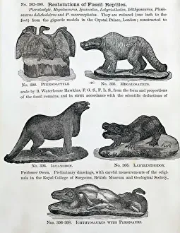 1866 Waterhouse Hawkins model dinosaurs 1866 Waterhouse Hawkins model dinosaurs