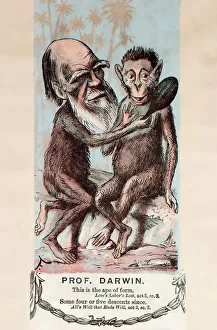 1874 Monkey Darwin cartoon by Faustin 1874 Monkey Darwin cartoon by Faustin