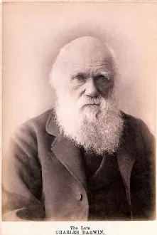 1879 Charles Darwin at eighty years old 1879 Charles Darwin at eighty years old
