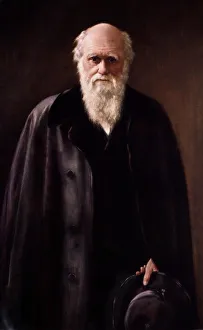 1881 Charles Darwin Portrait aftr Collier 1881 Charles Darwin Portrait aftr Collier