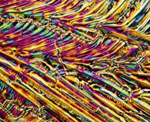 Polarized Light Microscopy Prints: a6180359