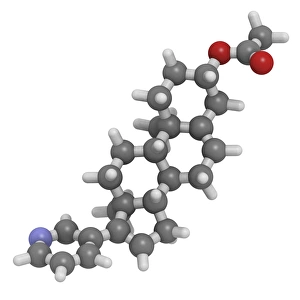 Abiraterone prostate cancer drug molecule Abiraterone prostate cancer drug molecule