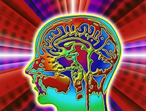 Abstract coloured MRI scan of the human brain Abstract coloured MRI scan of the human brain