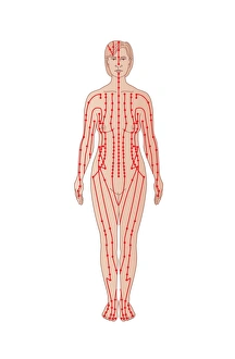 Traditional Chinese Medicine Prints: Acupuncture points, artwork