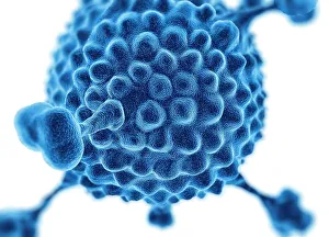 Prints of Adenovirus. Computer artwork of an adenovirus, showing the surface structure of the viruss outer protein coat (capsid). Adenoviruses are known to infect humans Images Dated 2010 August: Adenovirus Print - Computer Artwork of a Viral Capsid