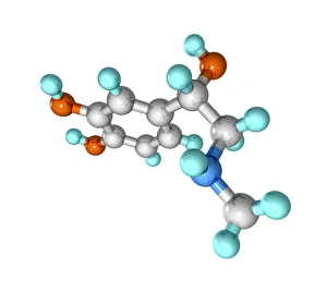 Computer model of an adrenaline molecule print