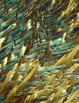 Polarized Light Microscopy Prints: Adrenaline, polarized light micrograph