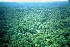 Aerial view of Amazonian rainforest, Ecuador Aerial view of Amazonian rainforest, Ecuador