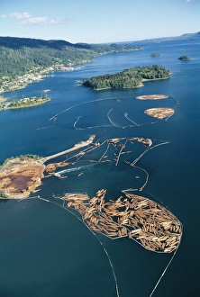 Aerial view of felled timber logs on water Aerial view of felled timber logs on water