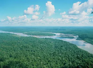Aerial view of Rio Napo, eastern Equador Aerial view of Rio Napo, eastern Equador