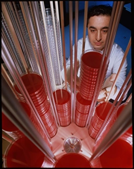 Petri Dish Culture Prints: Agar filling machine