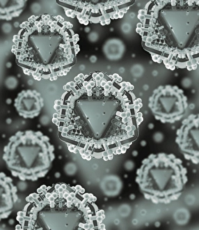 Virology Images Prints: AIDS virus particles, computer artwork
