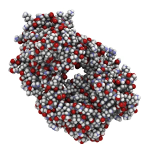 Alemtuzumab Fab fragment molecule F007/0097 Alemtuzumab Fab fragment molecule F007/0097