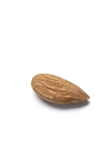 Edible Nuts Prints: Almond
