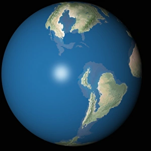 Cretaceous Era Fossils Prints: Ancient Earth