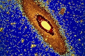 Andromeda Galaxy with two companion galaxies Andromeda Galaxy with two companion galaxies