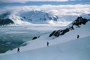 British Antarctic Survey Prints: Antarctic climbing