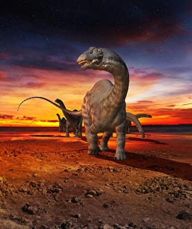 Jurassic Period Animals Prints: Apatosaurus herd, artwork
