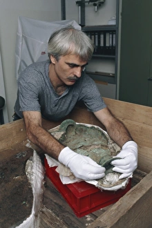 Ancient Celtic Artifacts Prints: Archaeologist reconstructing a bronze Celtic pot