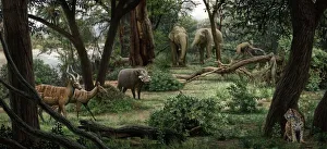 Images Dated 4th April 2013: Ardipithecus ramidus Landscape Print