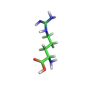 Amino Acid Structure Prints: Arginine molecule