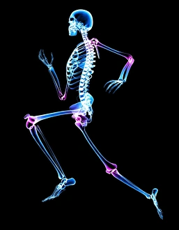Joint Pain Relief Prints: Arthritis joints