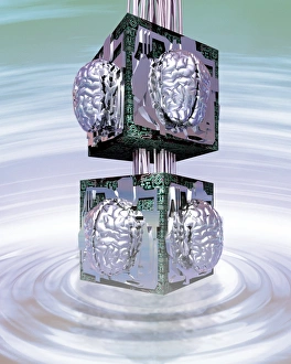Artificial Intelligence Prints: Artificial brains