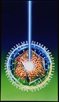 Artwork of antiviral drug attacking a herpesvirus Artwork of antiviral drug attacking a herpesvirus