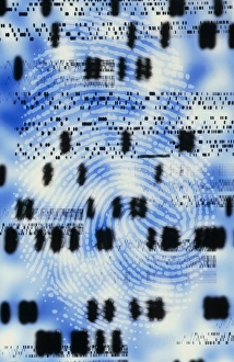 Artwork of DNA sequences and a human fingerprint Artwork of DNA sequences and a human fingerprint