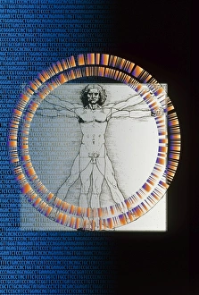 Artwork of male figure with genetic sequence Artwork of male figure with genetic sequence