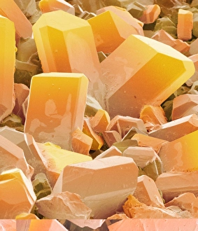 Vitamin C Crystals Prints: Ascorbic acid crystals (SEM) C013 / 7831