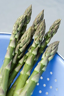 Seasonal Vegetables Prints: Asparagus spears