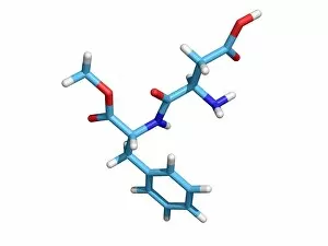Images Dated 25th November 2005: Aspartame molecule