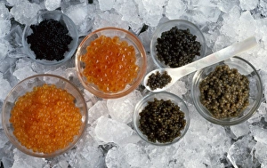 Gourmet Cuisine Prints: Assorted caviar C014 / 1520