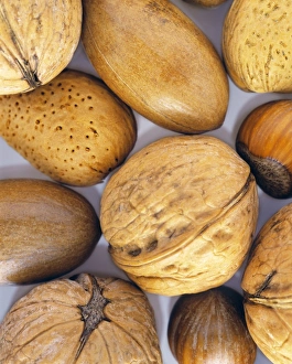 Assorted Nuts Prints: Assorted nuts