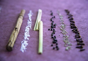 Cinnamon Spice Prints: Assorted spices