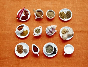 Assortment of Spices Print
