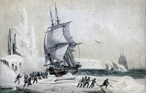 The Astrolabe stranded on pack ice Print