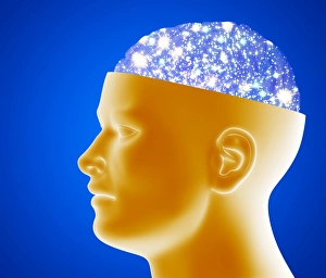 Prints of Astronomical brain. Computer artwork of a cutaway human head revealing a brain full of stars Images Dated 2004 June: Astronomical Brain Print - Computer Artwork of a Human Head