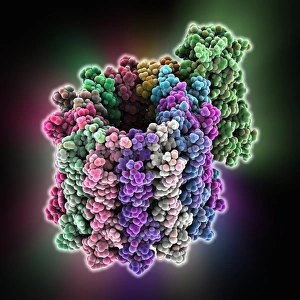 Molecular Biology Images Prints: ATP synthase molecule