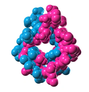 Blood Pressure Regulation Prints: Atrial natriuretic peptide molecule