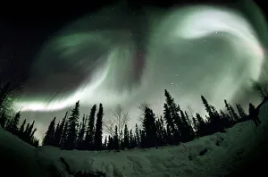 Aurora Borealis Alaska Prints: Aurora borealis