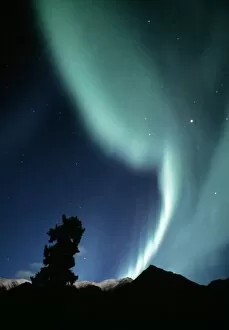 Images Dated 11th November 2002: Aurora borealis