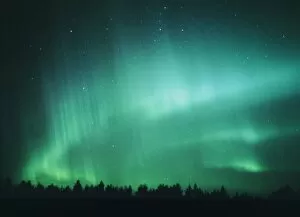 Images Dated 26th November 2002: Aurora Borealis (Northern Lights) seen in Finland